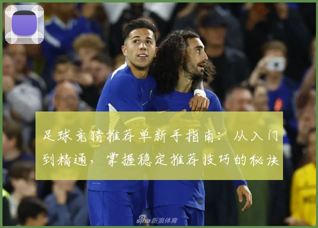 足球竞猜推荐单新手指南：从入门到精通，掌握稳定推荐技巧的秘诀