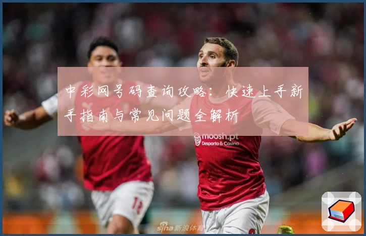 中彩网号码查询攻略：快速上手新手指南与常见问题全解析