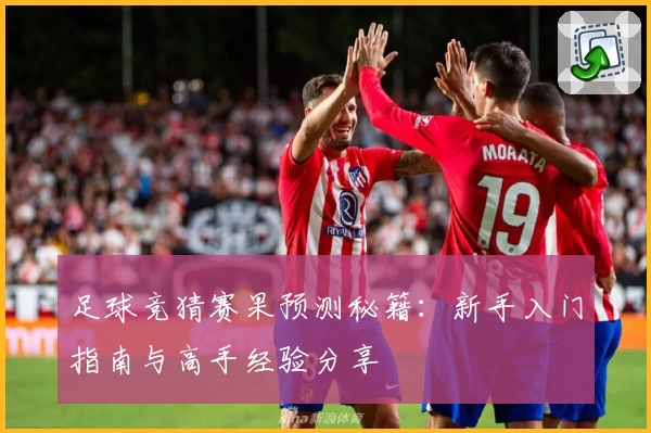 足球竞猜赛果预测秘籍：新手入门指南与高手经验分享