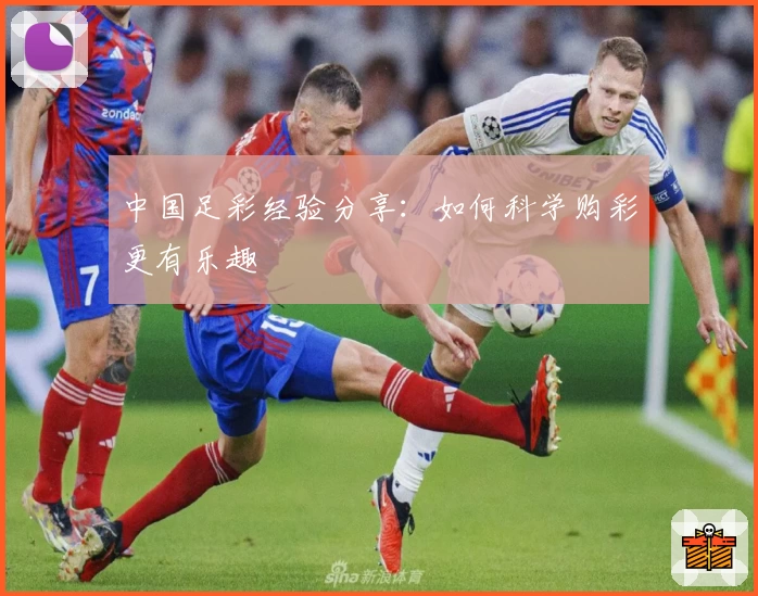 中国足彩经验分享：如何科学购彩更有乐趣